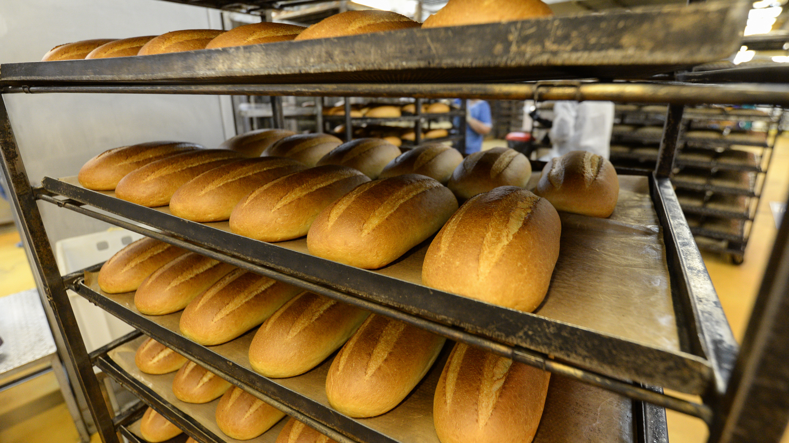 Хлебное место: изучаем доходы крупнейших производителей батонов в Саратовской области