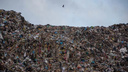 Власти НСО объявили конкурс на строительство комплекса по обработке мусора за 141 млн
