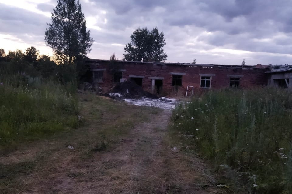 Землю, на которую пролилась жидкость, засыпали известью Землю, на которую пролилась жидкость, засыпали известью