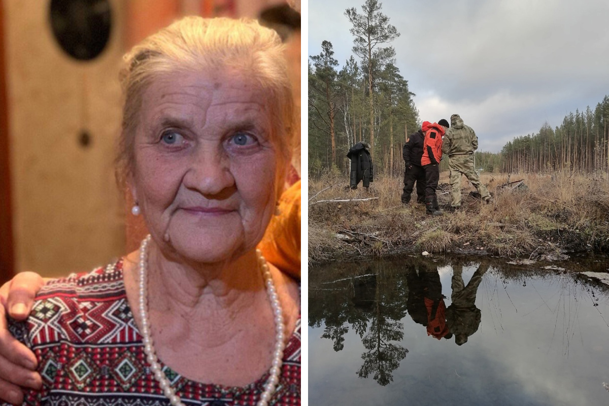 Девять суток одна в лесу: волонтеры рассказали, как продвигаются поиски пропавшей на Урале пенсионерки