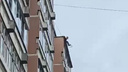 «Обрывает провода, хочет спрыгнуть». На Эльмаше мужчина забрался на крышу девятиэтажки и отказывался уходить