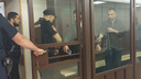 Участников «Аль-Каиды»* осудили в Новосибирске
