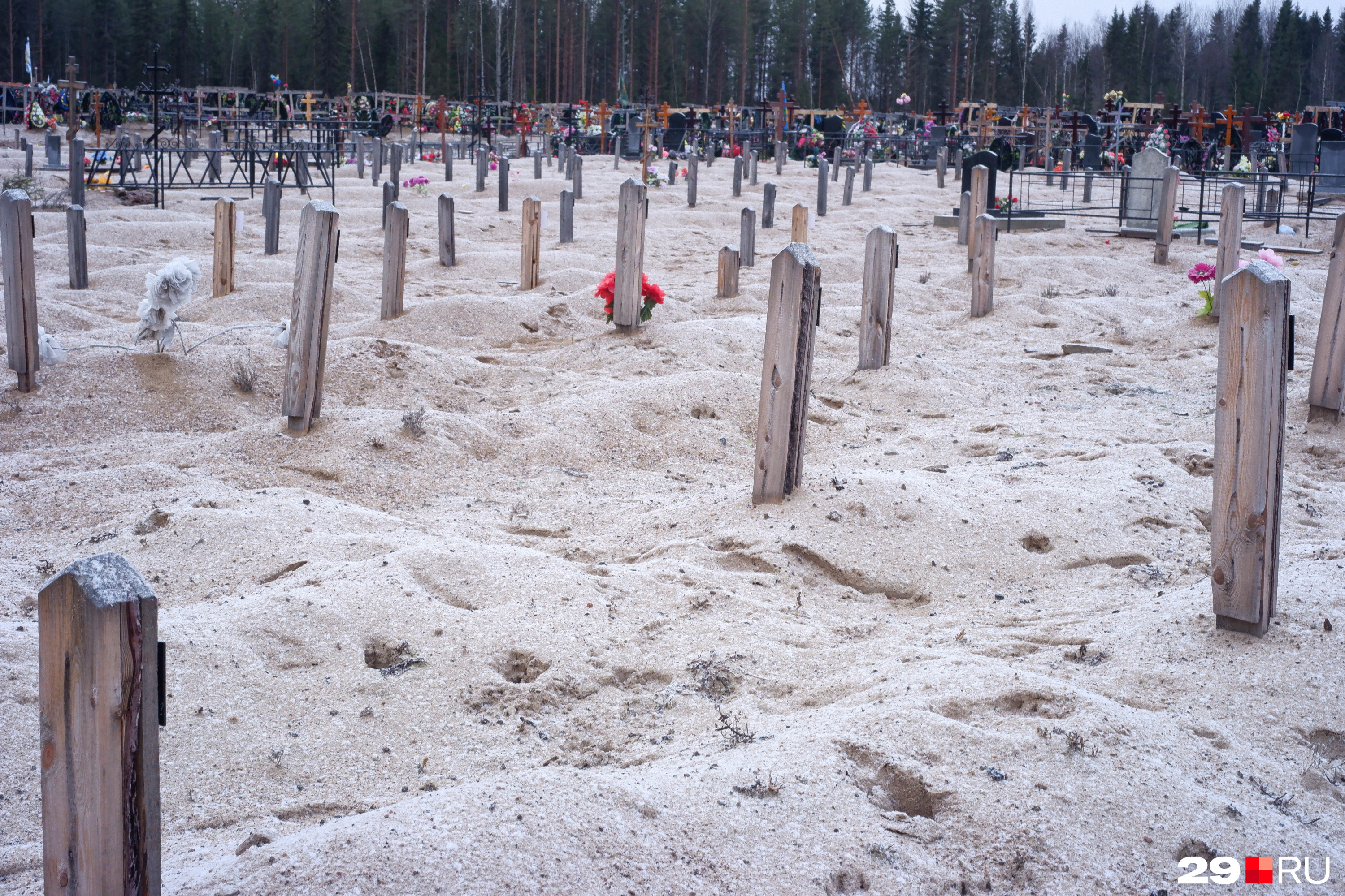 Сектор кладбища с невостребованными телами. На заднем плане видны обычные участки