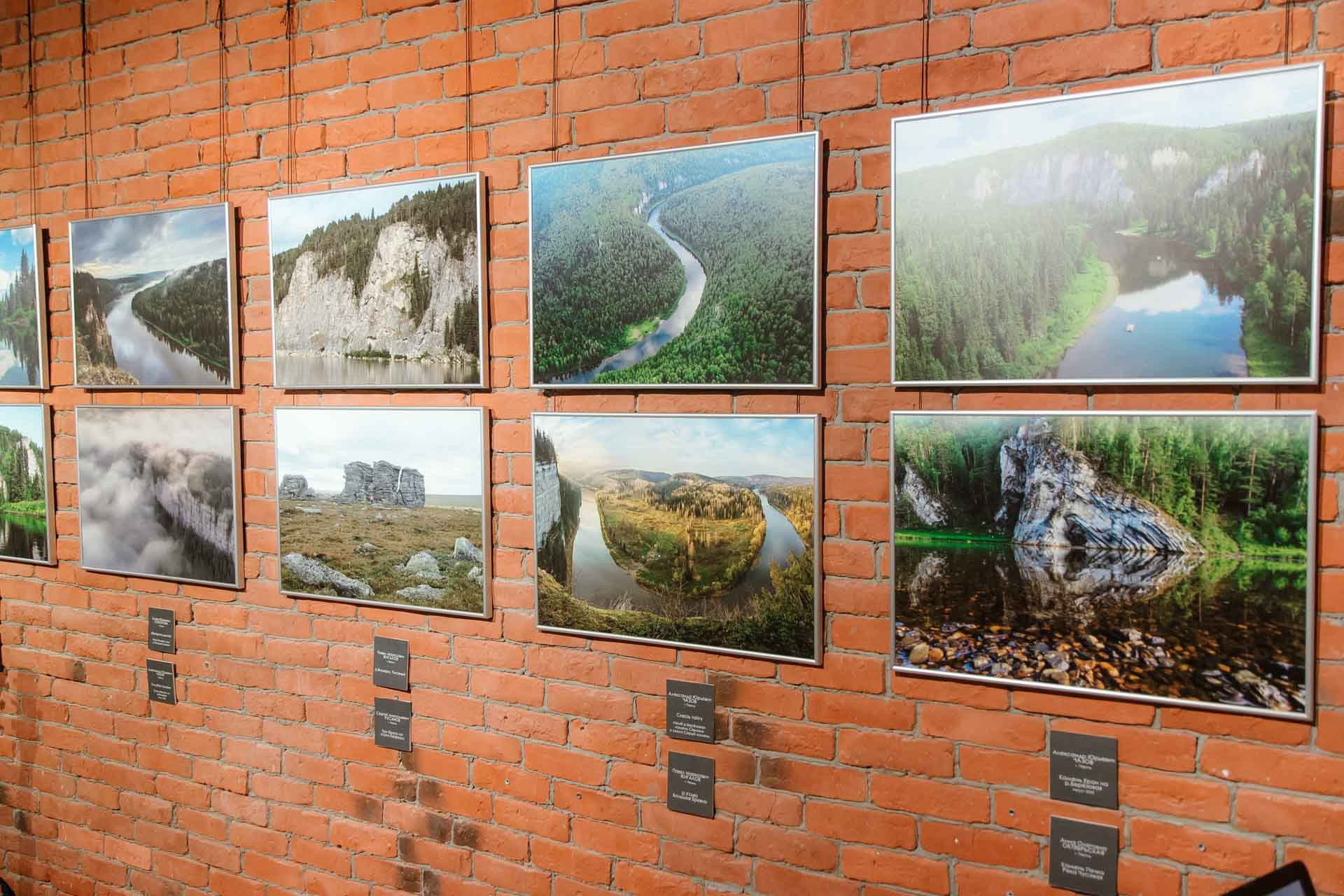 На выставке были представлены фото красивых уголков Пермского края, а также сюжеты с представителями флоры и фауны