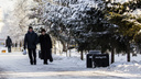 Тепло или снова морозы? Какая погода ждет жителей Новосибирска на следующей неделе