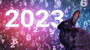 2023 — это колесница: каким будет год Черного Кролика? Считаем свой личный прогноз вместе с нумерологом
