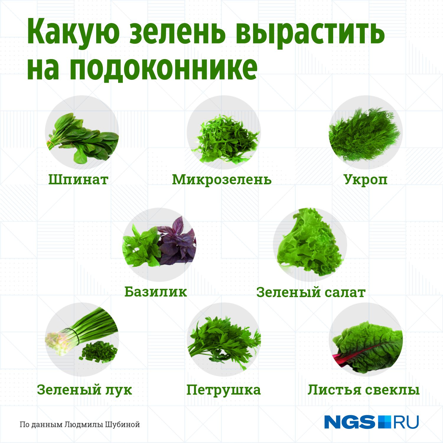 Как вырастить салат на подоконнике