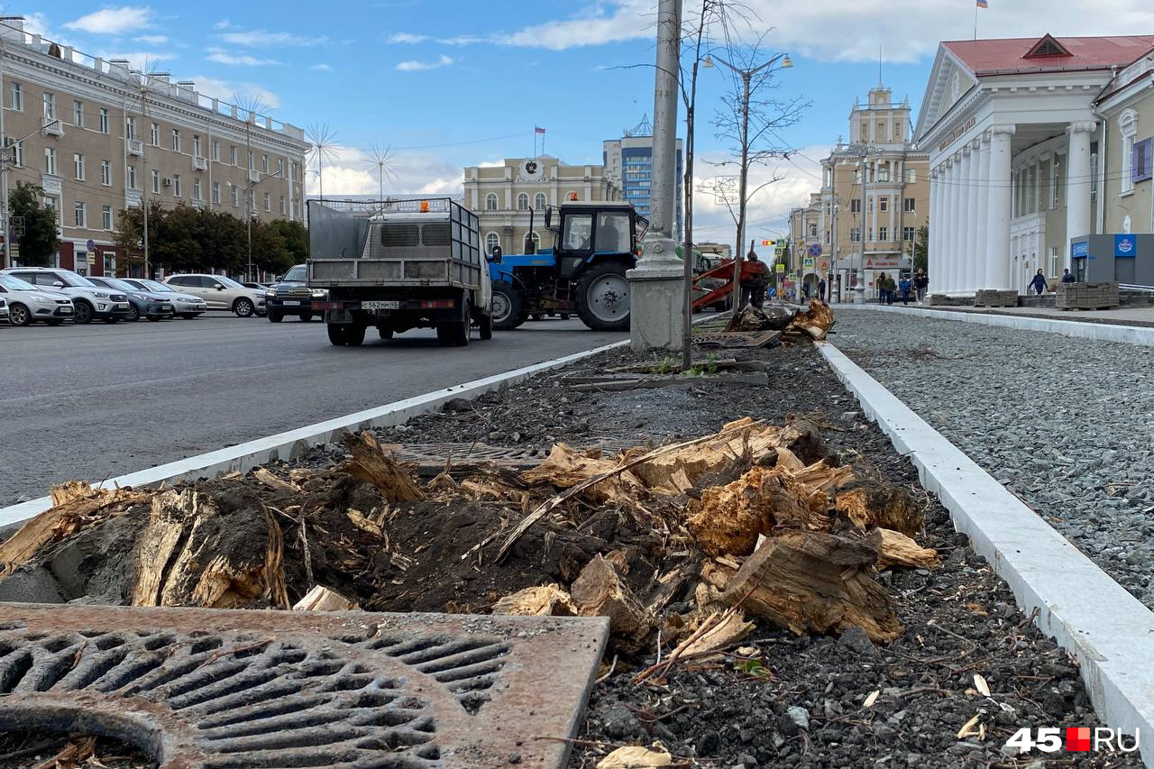 Курган события сегодня