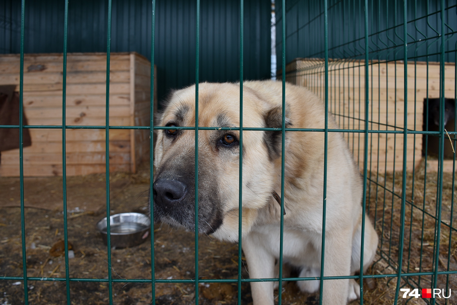 Приоритет поиска овервотч что это