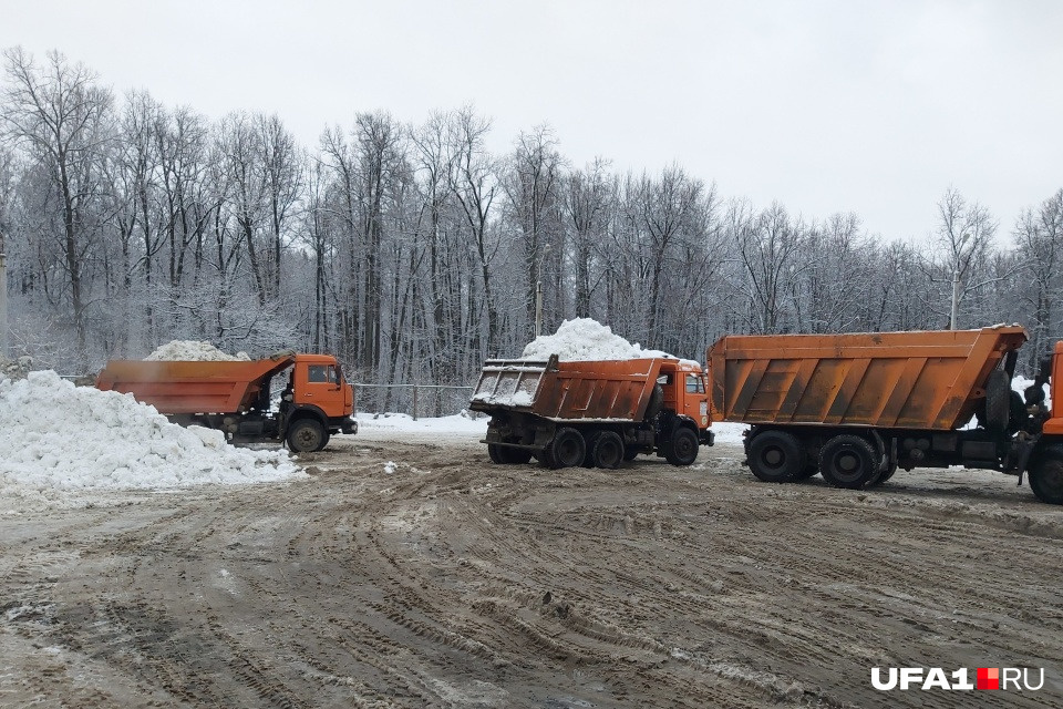 Зимой перед уфимскими полигонами выстраивается очередь из грузовиков со снегом