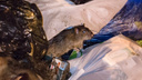 «Шок от увиденного»: челябинцы пожаловались на нашествие крыс