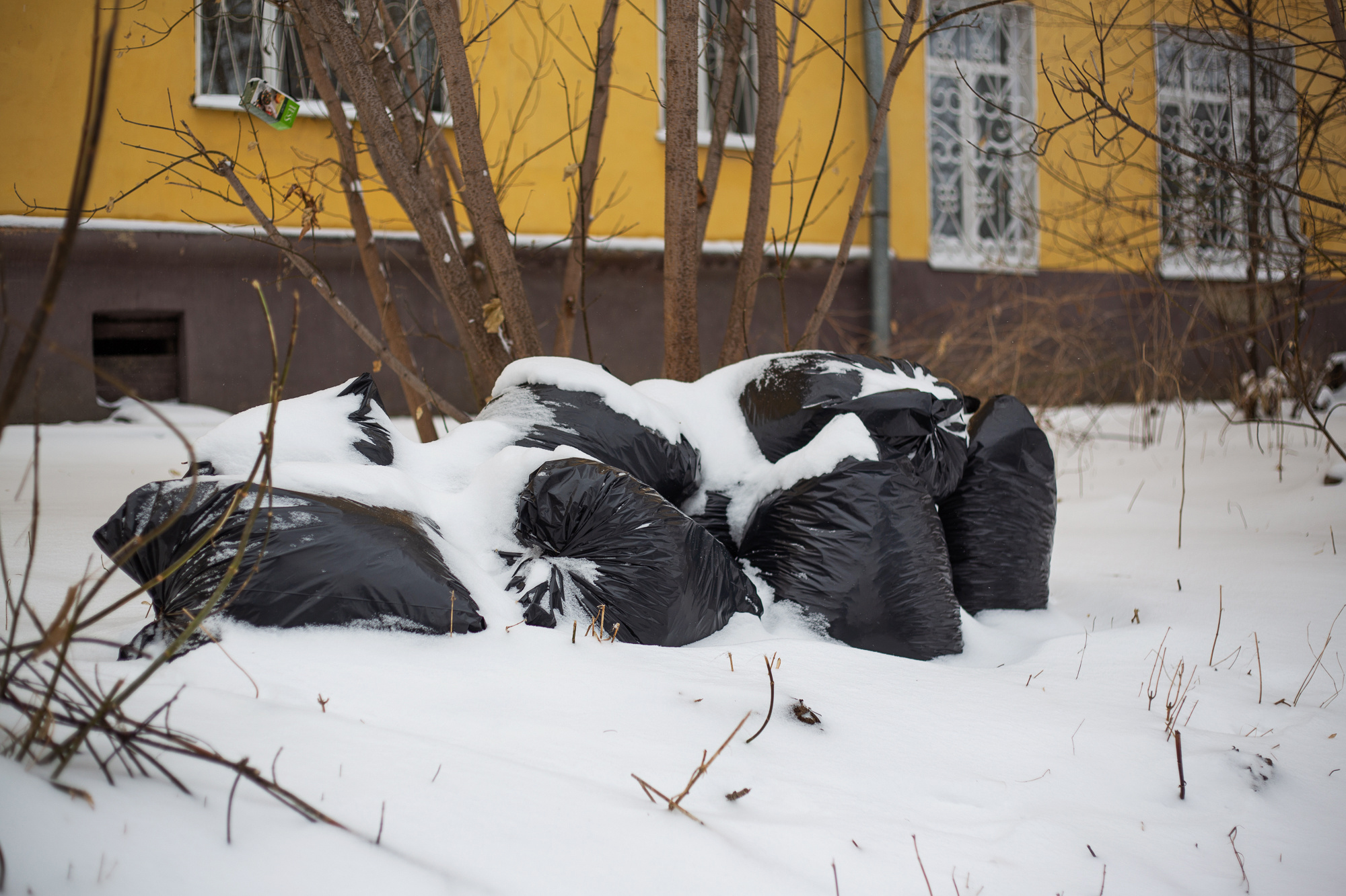 Снег засыпал даже мешки с прошлогодней листвой и мусором, которые не успели убрать после субботников