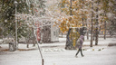 Ясная погода и устойчивые морозы: на выходных жителей Новосибирской области ждет до -28 градусов