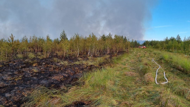 Лесной пожар в Воротынском районе преодолел 3 тысячи гектаров. Треть этой площади занимают болота