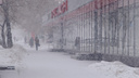 Синоптики рассказали, надолго ли в Челябинск вернулась зима