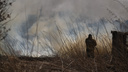 Из-за сгоревших домов в трех районах Новосибирской области завели уголовные дела