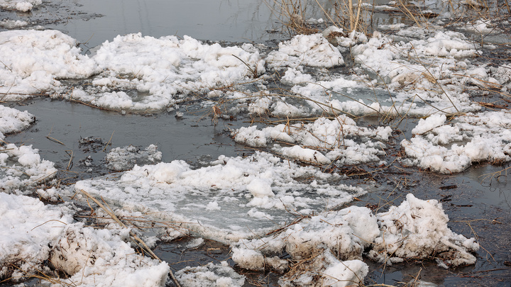 Кузбасская река за сутки поднялась на 60 сантиметров. До опасной отметки осталось менее 1,5 метра