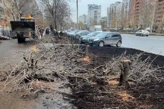 Фото на парковом г пермь