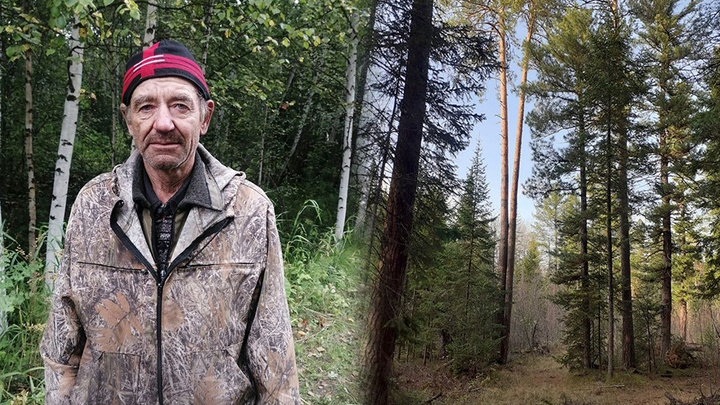 Пожилой собиратель шишек пропал в лесах Кузбасса. Спустя двое суток его нашли после встречи с медведем