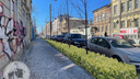 Группа ростовчан решила за свой счет озеленить улицу Станиславского
