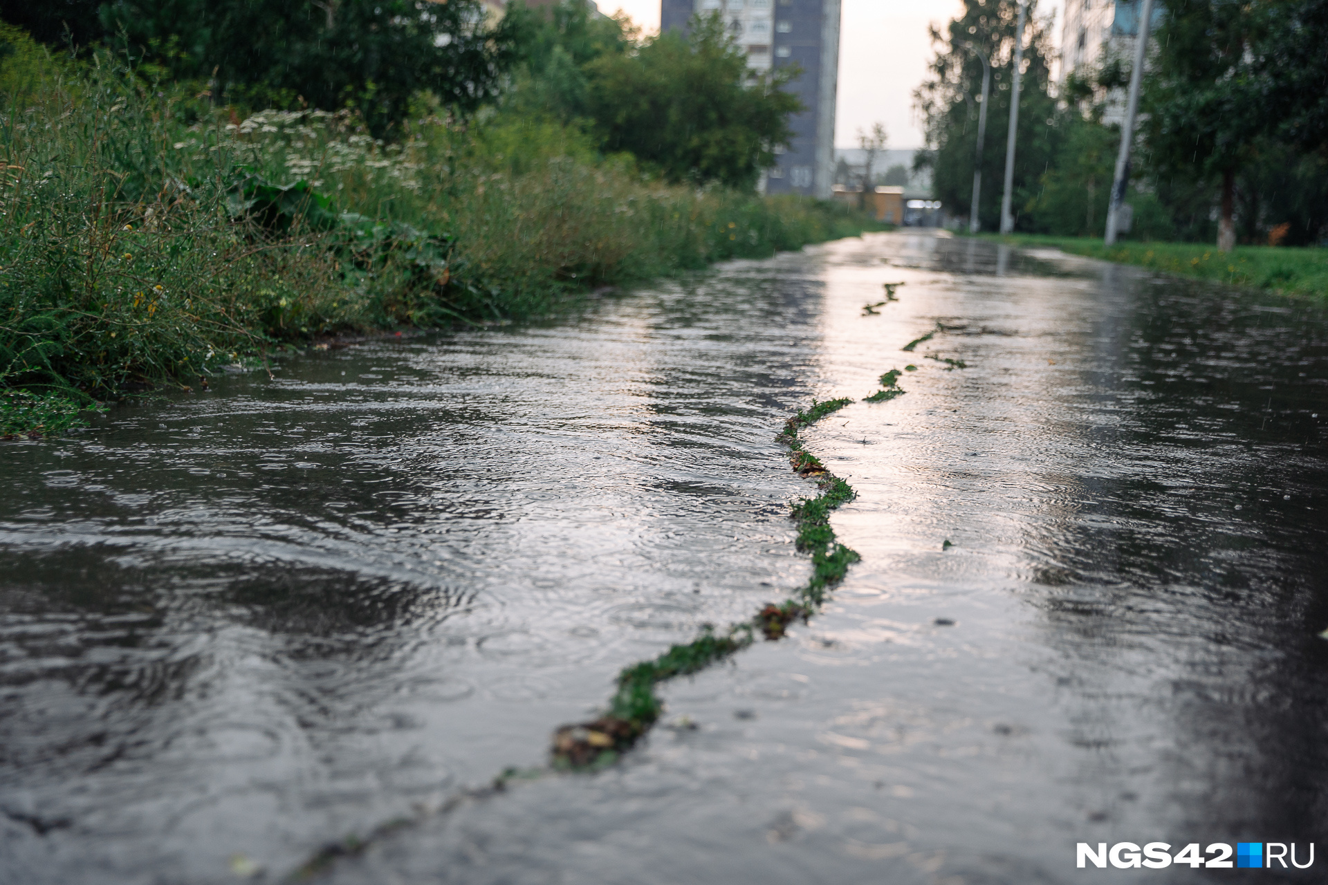 Хабаровск осадки. Ливень. Сильный дождь в Хабаровске. Лето ливень. Ливень фото.