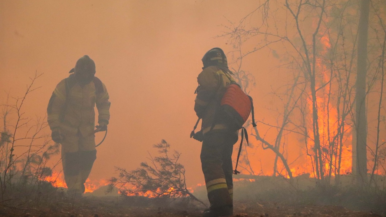 «В зоне риска три населенных пункта»: Вадим Шумков сообщил о повышении уровня пожарной опасности
