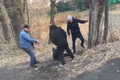 �� ��������� ������ ���� ������ ������ �������� ��������. �����