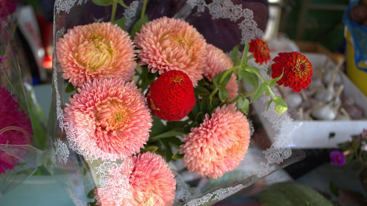 Георгины, астры и ромашки. Какие цветы к 1 Сентября можно купить на рынке в Иркутске и сколько они стоят?