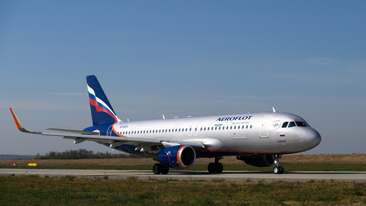 Самолет Аэрофлота столкнулся со стаей птиц при посадке в Шереметьево