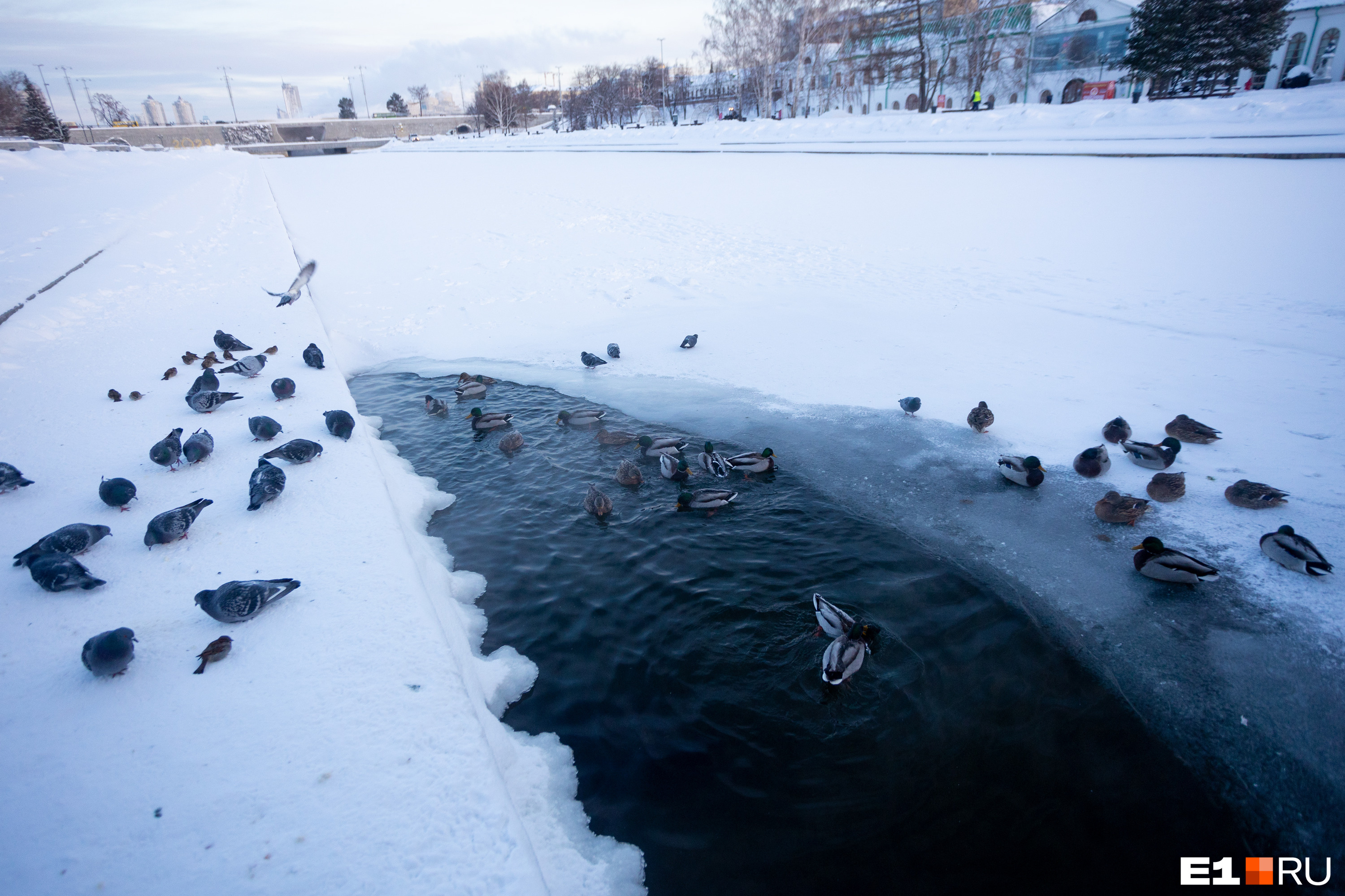 Всех заморозит ультраполярный антициклон. Когда в Екатеринбурге закончатся аномальные холода?