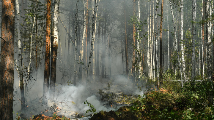 Бурятия заявила, что задымление в 8 районах связано с пожарами в Приангарье. В Иркутской области это опровергли