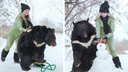 Сибирячка покатала медведя на санках и слепила с ним снеговика — <nobr class="_">9 фото</nobr> с очаровательным зверем