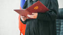 Верховный суд РФ предложил ввести в России «институт уголовного проступка»