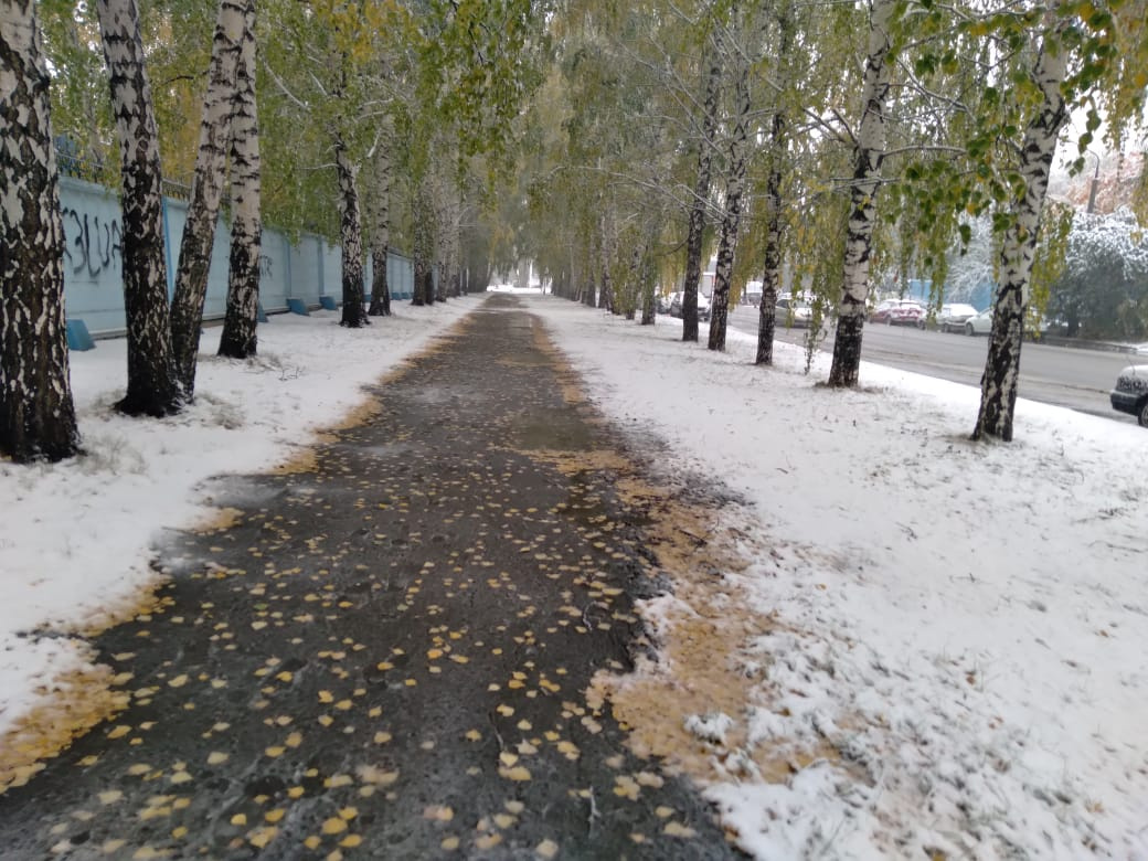 Город встретит первый снег. Первый снег. Фото первого снега Екатеринбург. Зима 2022. С первым зимы 2022.