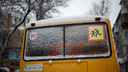 Сотни новосибирских детей не попали в школы из-за сильной метели