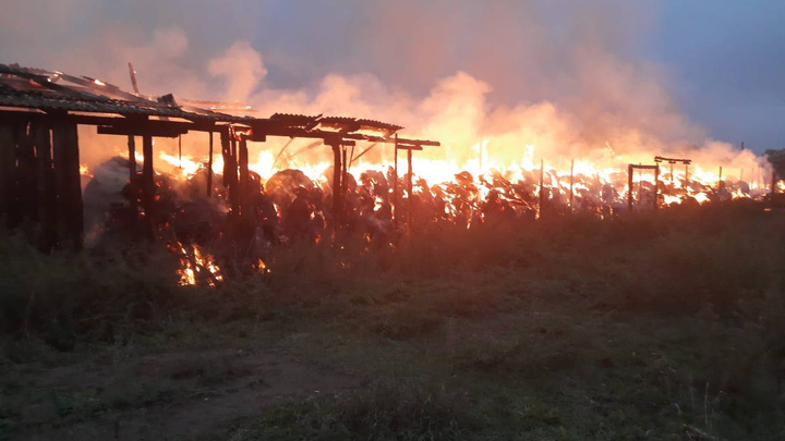 В селе на юге края неизвестные подожгли тюки с сеном — пожарные боролись с огнем больше 10 часов