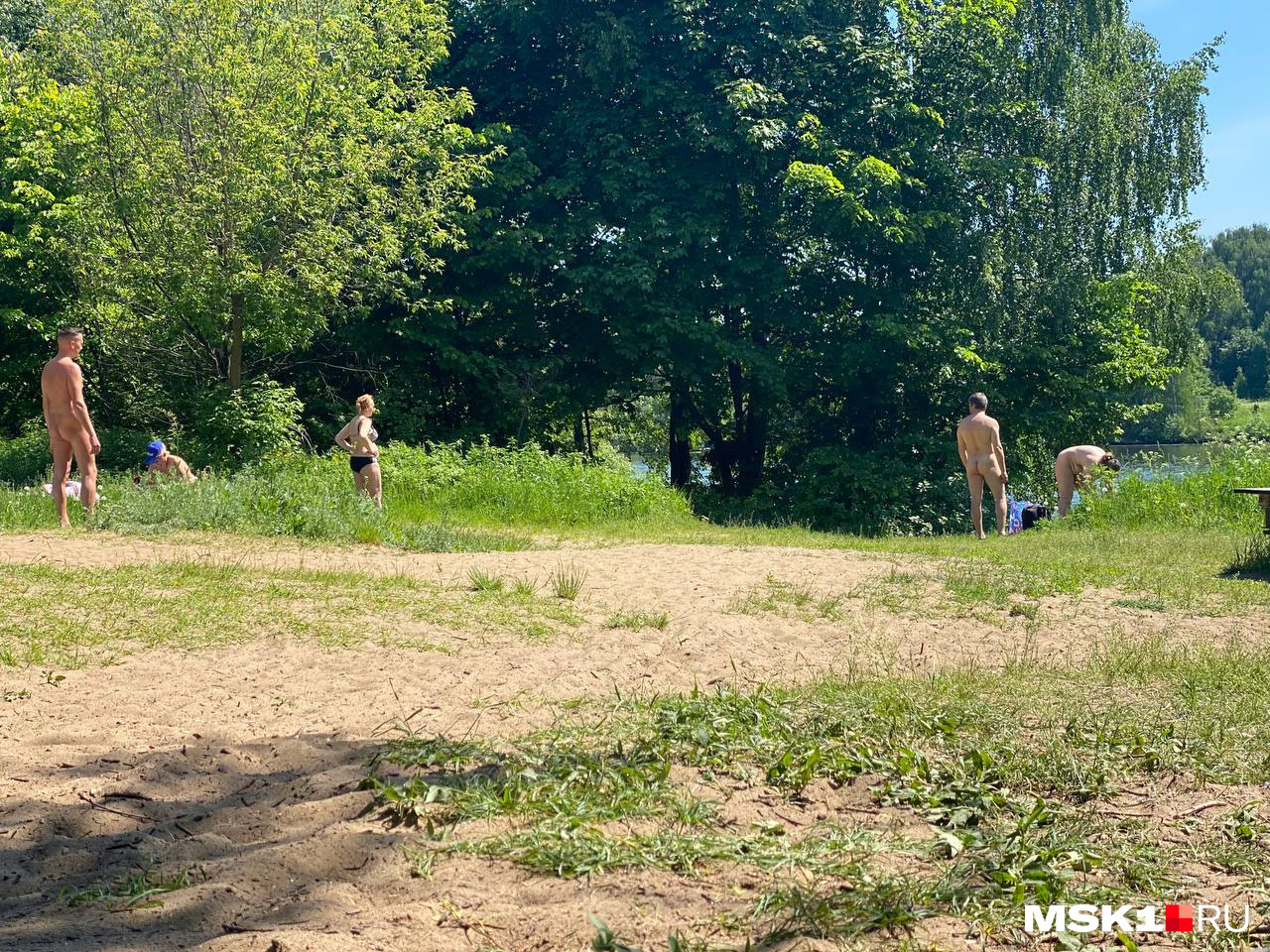 Пляжи в Москве, Нудистские пляжи в Москве, Где позагорать в Москве,  Серебряный бор пляж 9 июня 2022 - 9 июня 2022 - msk1.ru