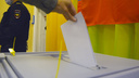 В избиркоме рассказали, как проголосовать дистанционно на выборах в Архангельской области