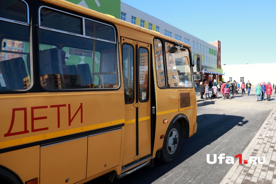 Дай автобус. Дай автобус