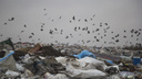 В Северодвинске снова горит мусорный полигон