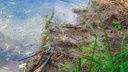 Росгидромет назвал самую грязную реку в Самарской области