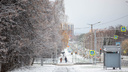 Когда ждать первый снег в Новосибирске? Изучаем данные за прошлые годы и прогнозы сервисов