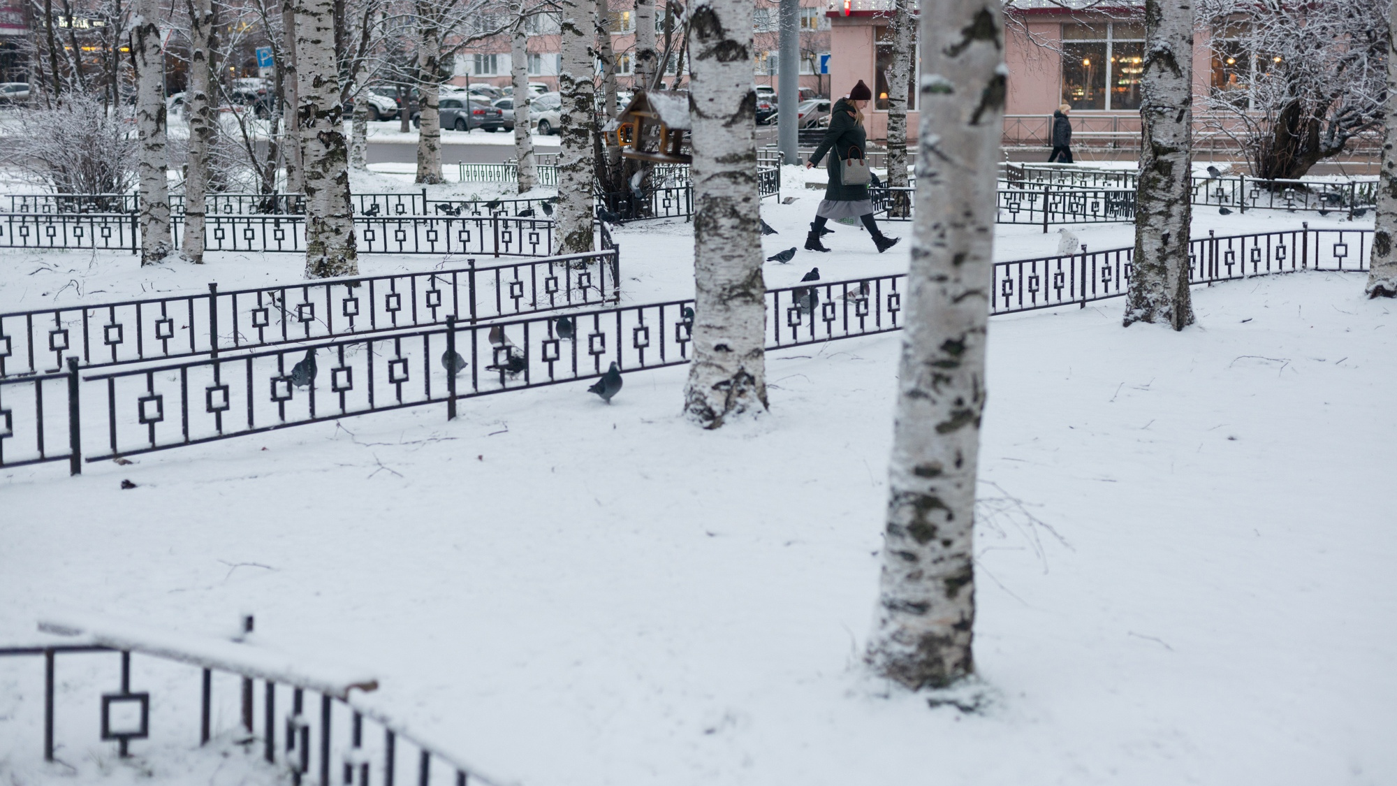 До -22 по ночам: синоптики рассказали, когда в Архангельскую область придут морозы