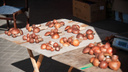 Летний урожай: сколько стоят грибы на рынках Архангельска