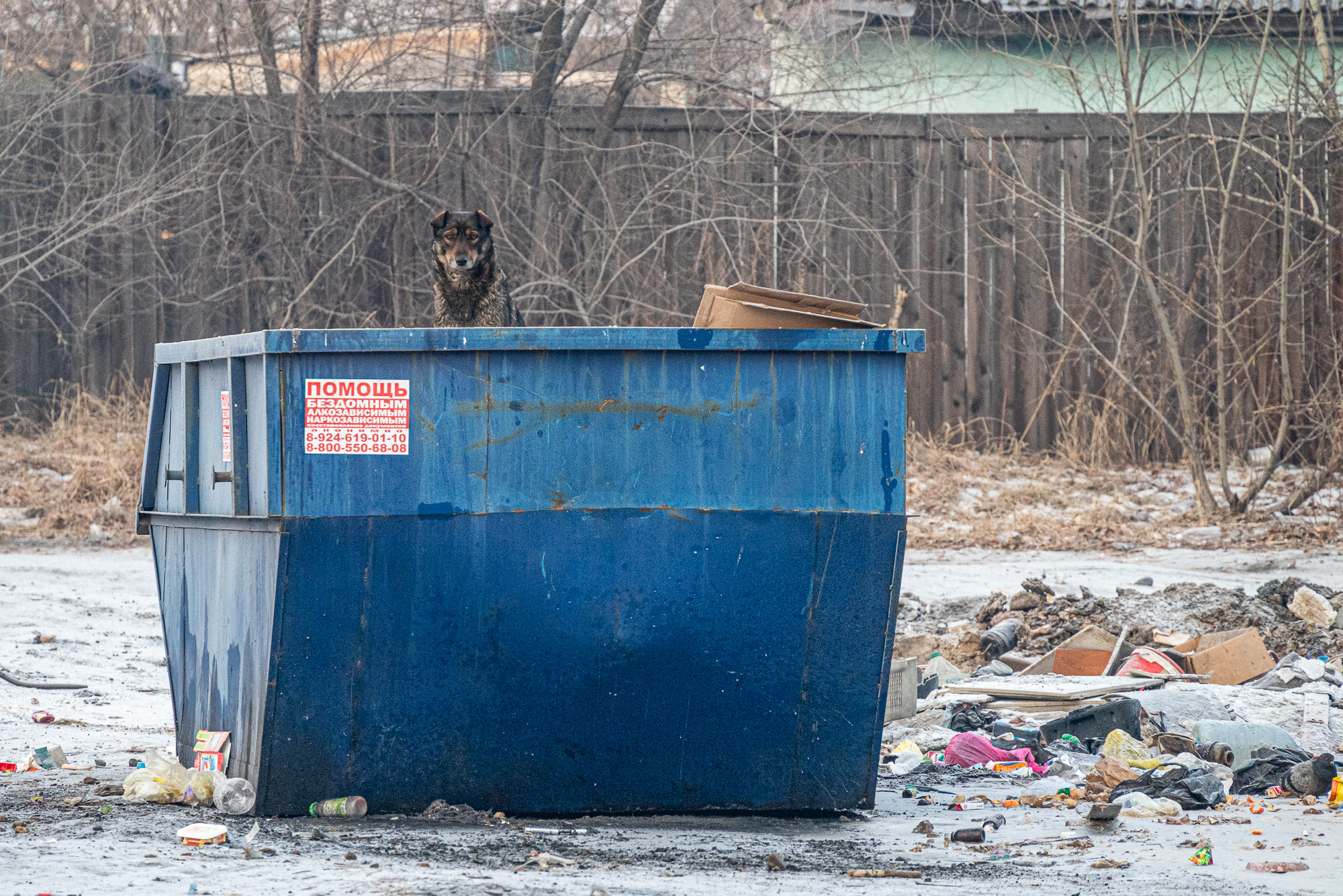 «Олерон+» около месяца не вывозил мусор в забайкальском городе