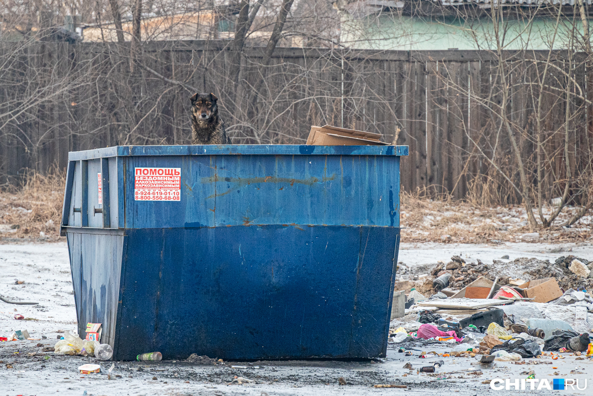 Мусорного оператора в Забайкалье оштрафовали на сотни тысяч рублей за невывоз мусора