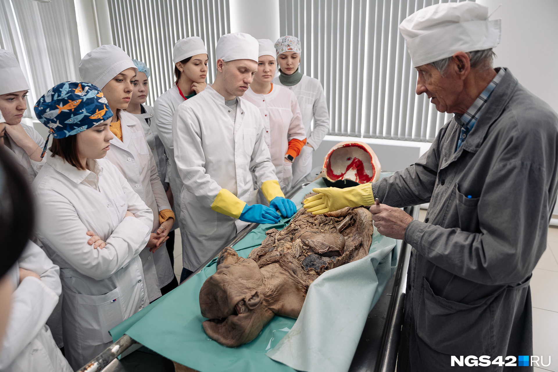 Во время визита в музей мы застали занятие студентов-медиков по анатомии
