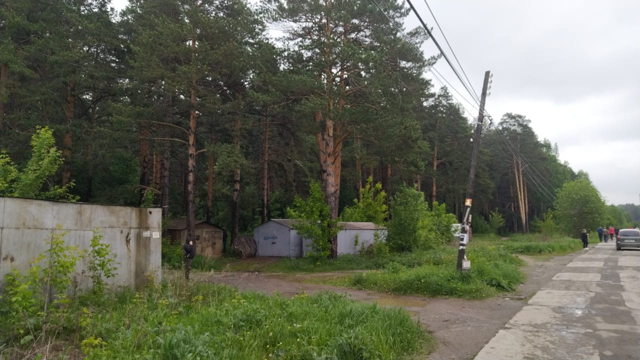 Жители уже привыкли к лесу у дома и даже обустроили там свои гаражи Жители уже привыкли к лесу у дома и даже обустроили там свои гаражи