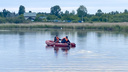 Двое мужчин утонули, спасая лебедей на пруду в Челябинской области