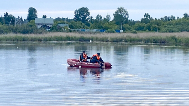 Двое мужчин утонули, спасая лебедей на пруду в Челябинской области